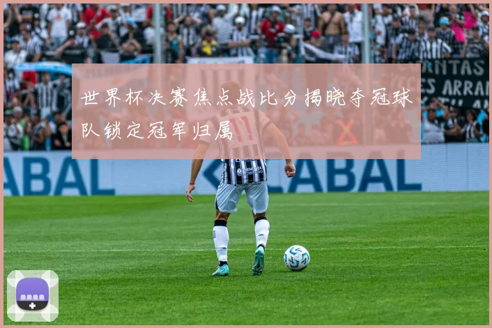 世界杯决赛焦点战比分揭晓夺冠球队锁定冠军归属