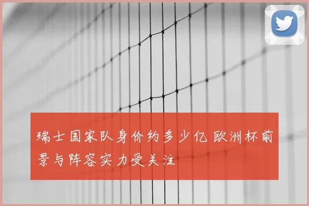 瑞士国家队身价约多少亿 欧洲杯前景与阵容实力受关注