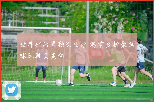 世界杯结果预测出炉 赛前分析聚焦球队胜负走向