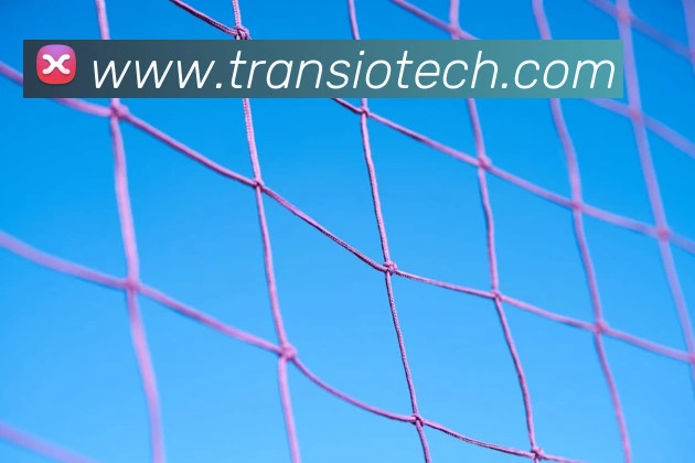 乐竞体育网站首页发展历程